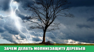 Зачем делать Молниезащиту деревьев